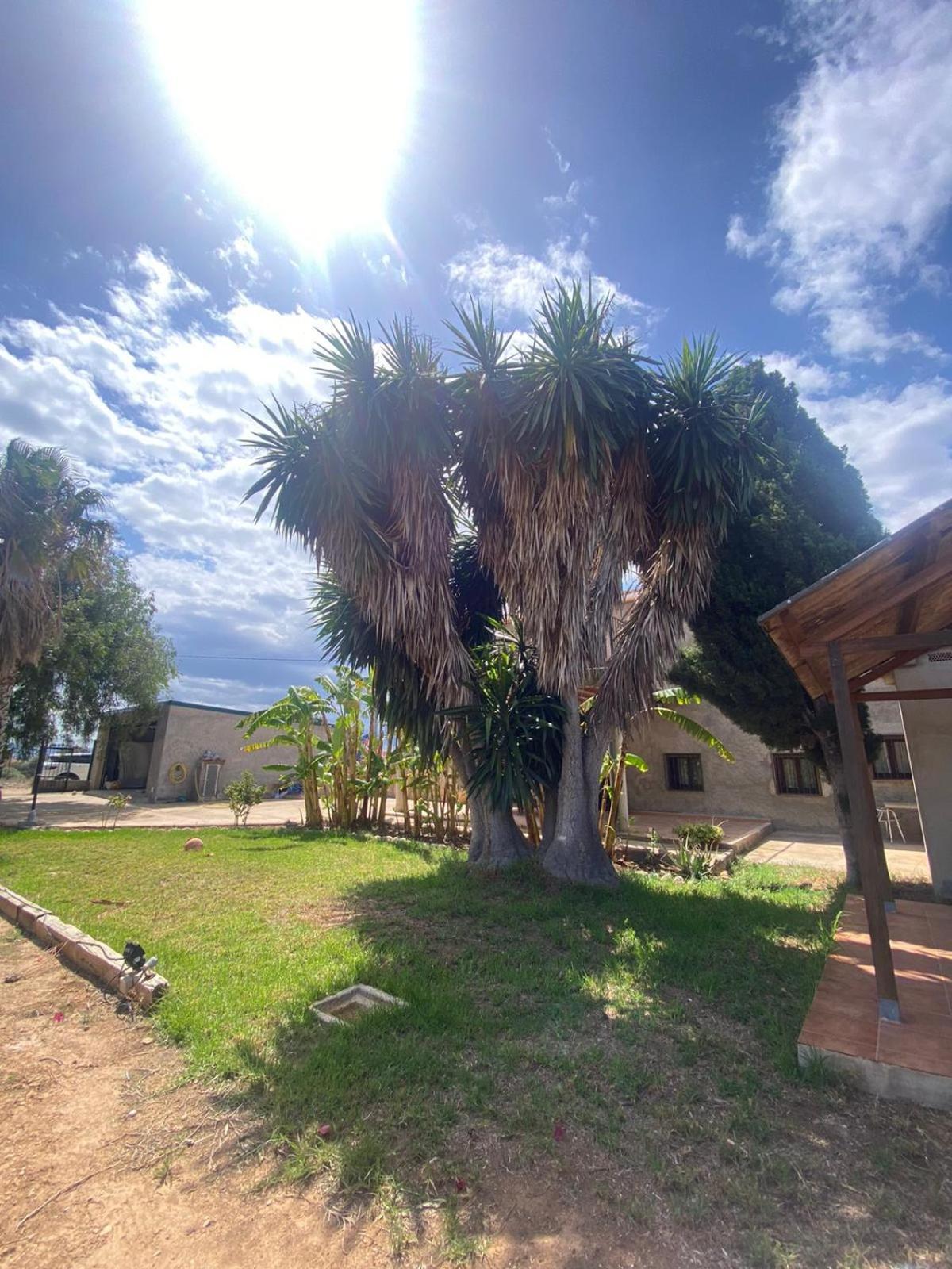 Los Almendros Torrenostra Exterior photo