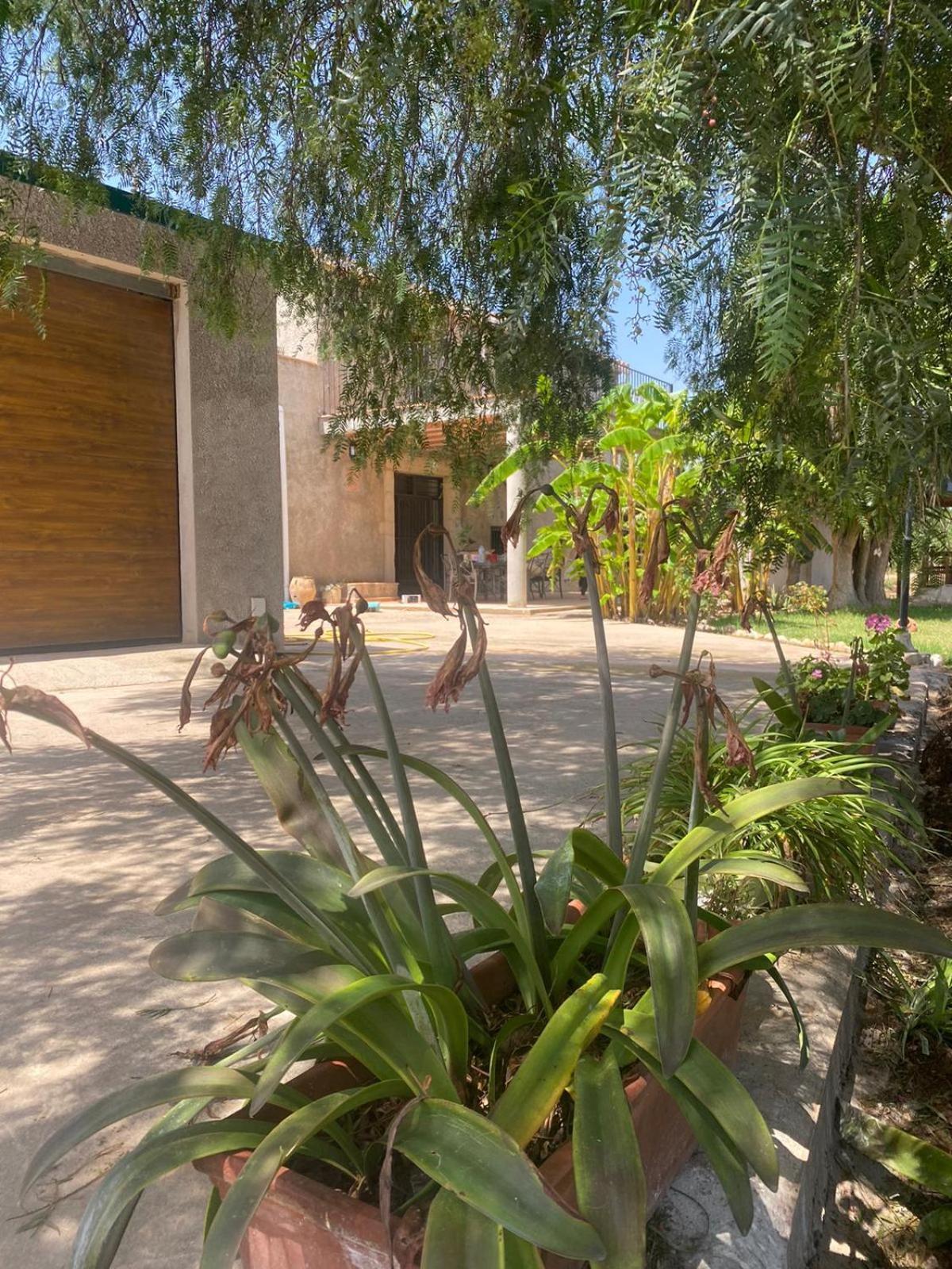 Los Almendros Torrenostra Exterior photo