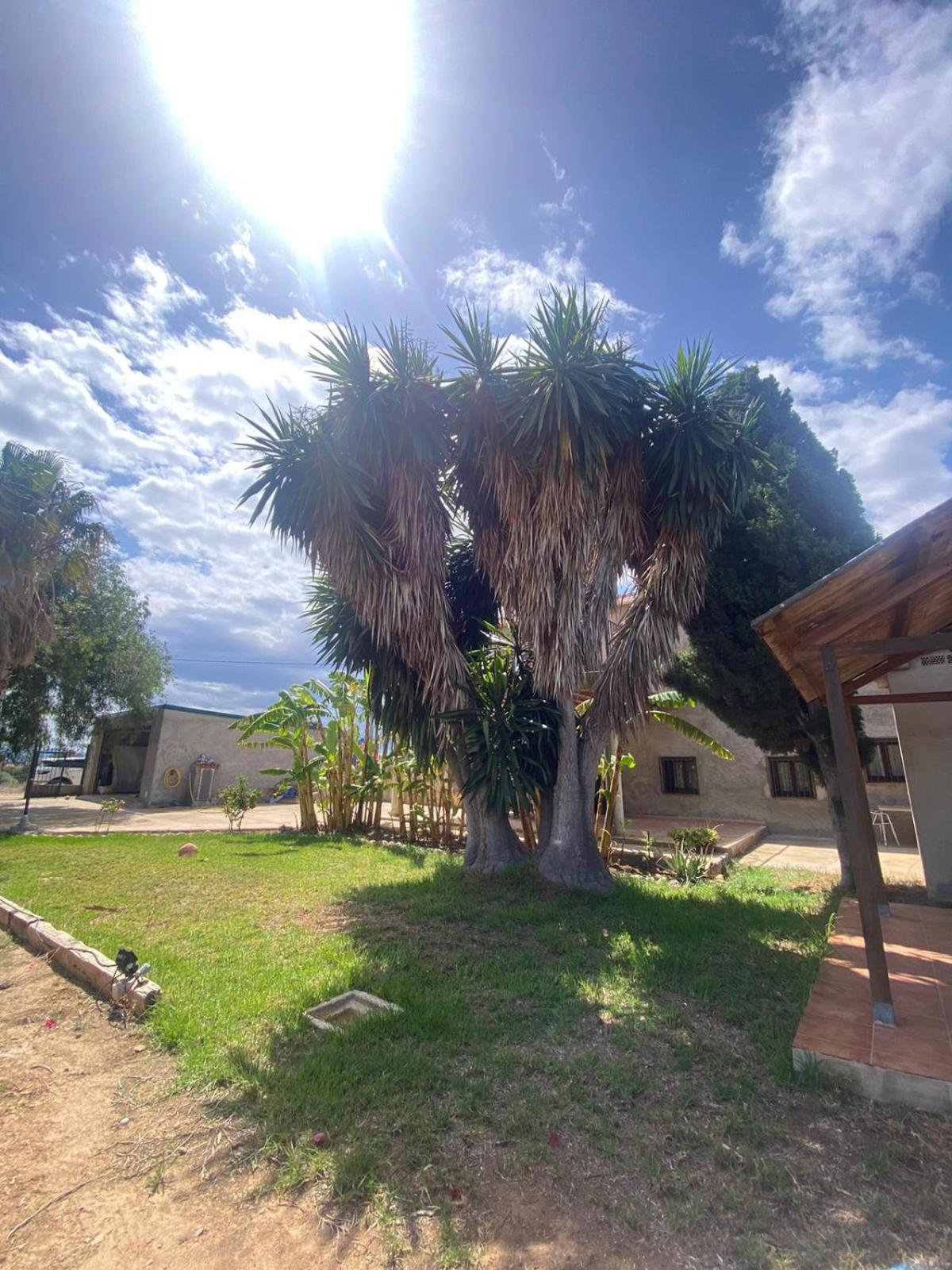 Los Almendros Torrenostra Exterior photo